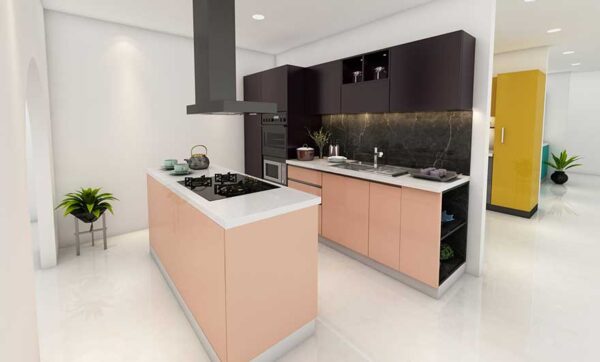 Sntexs-Parallel-Kitchen_1